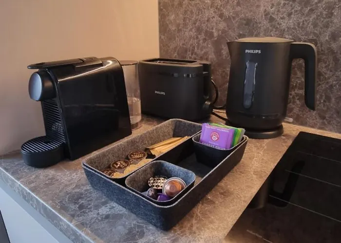 Boarderspalace Luxury With Private Sauna Lejlighed *